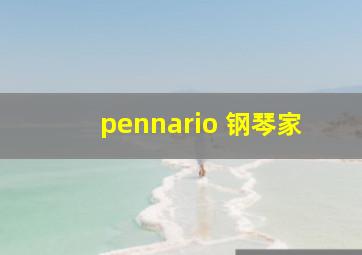 pennario 钢琴家